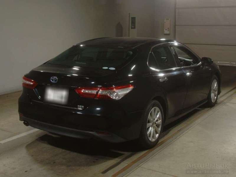 фото Camry Hybrid