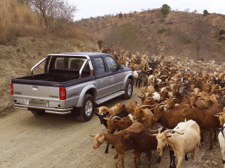 Mazda B2500