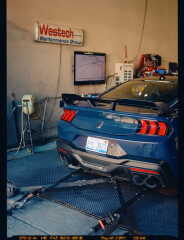 avtorinok forum pic #26077