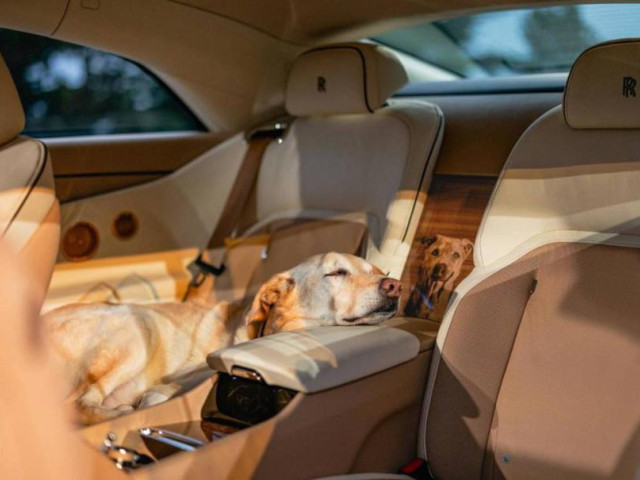 Rolls-Royce разработал эксклюзивный Spectre, посвященный любимому питомцу владельца