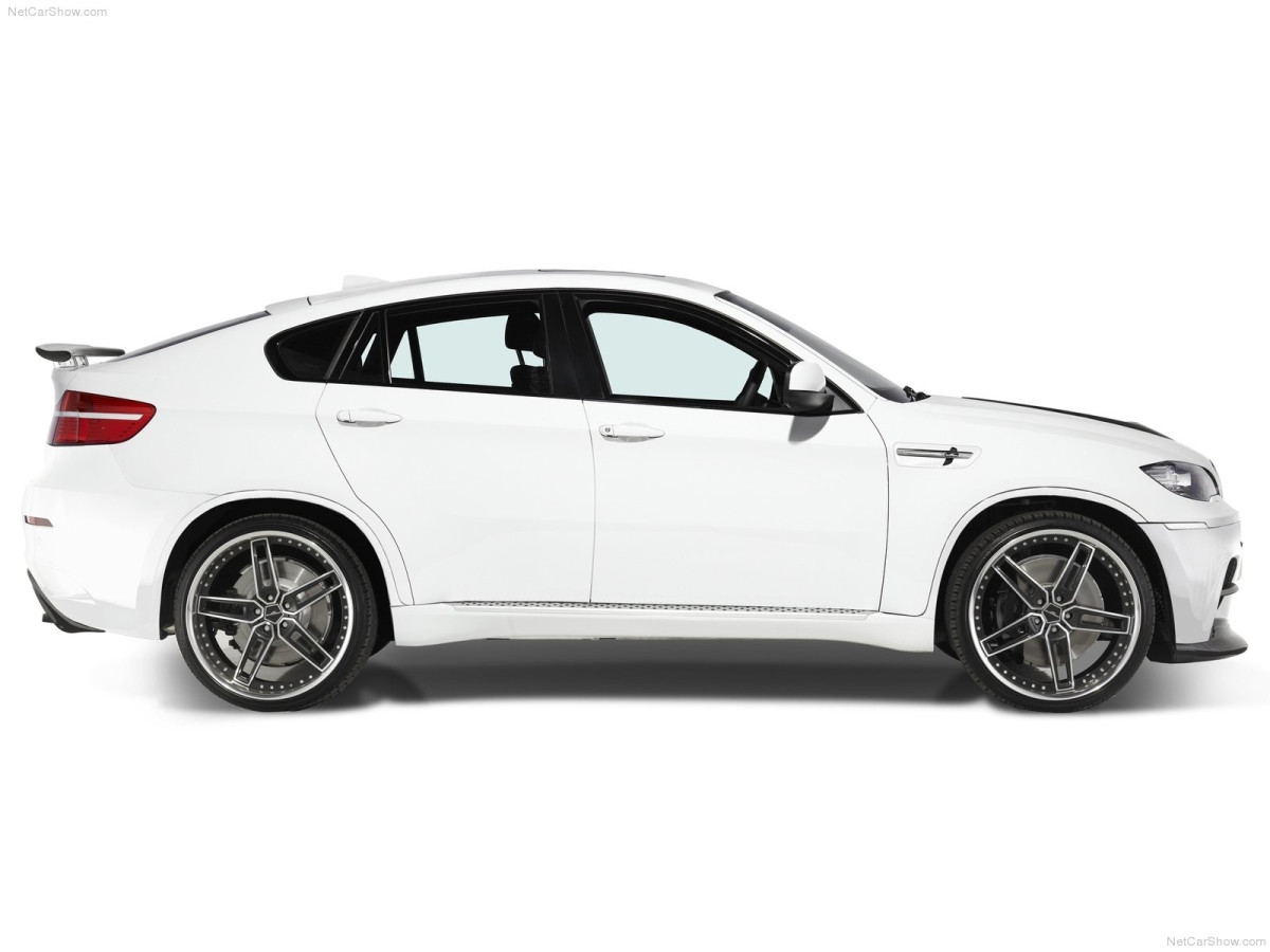 AC Schnitzer BMW X6 M фото 76939