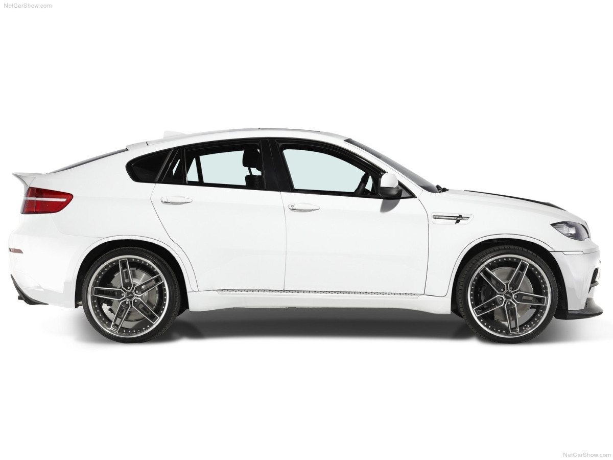 AC Schnitzer BMW X6 M фото 76940