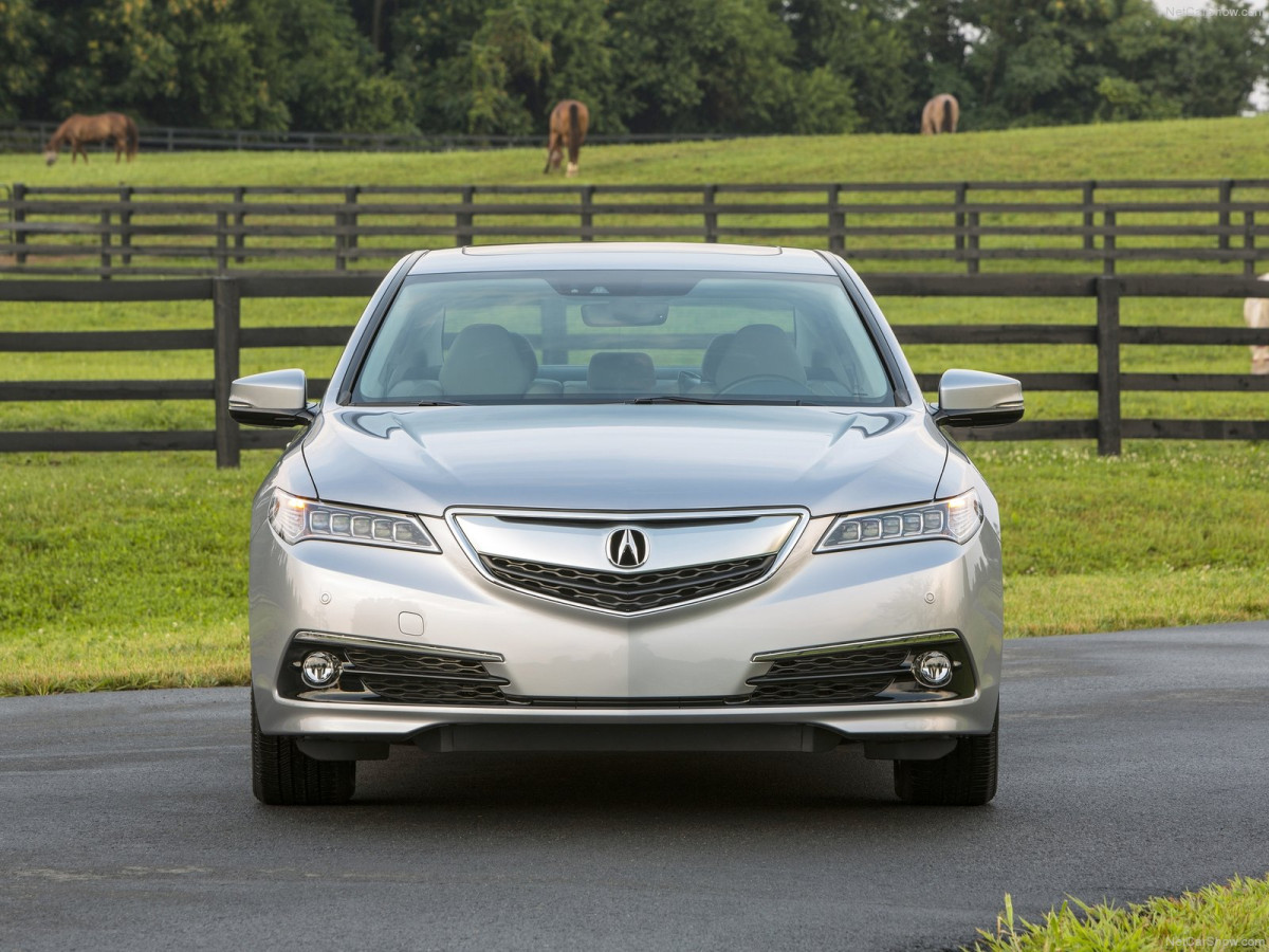 Acura TLX фото 131924