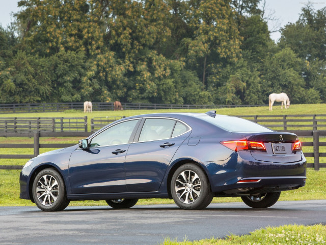 Acura TLX фото