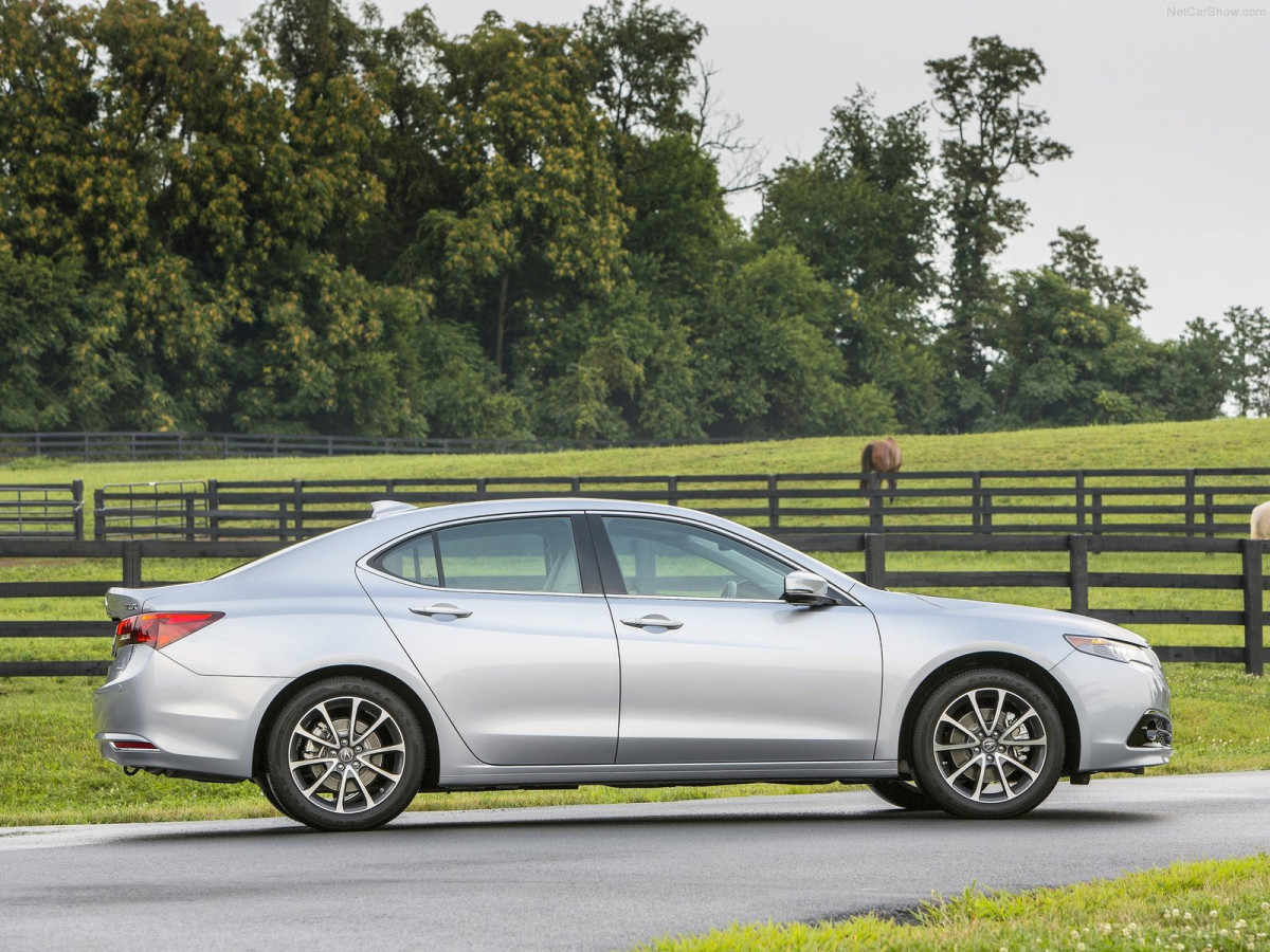 Acura TLX фото 131937