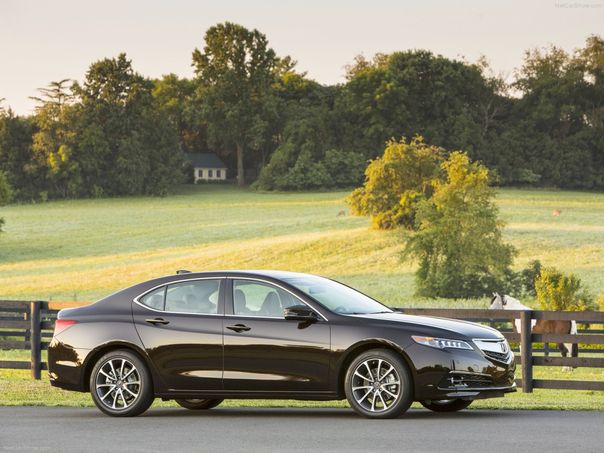 Acura TLX фото 131948