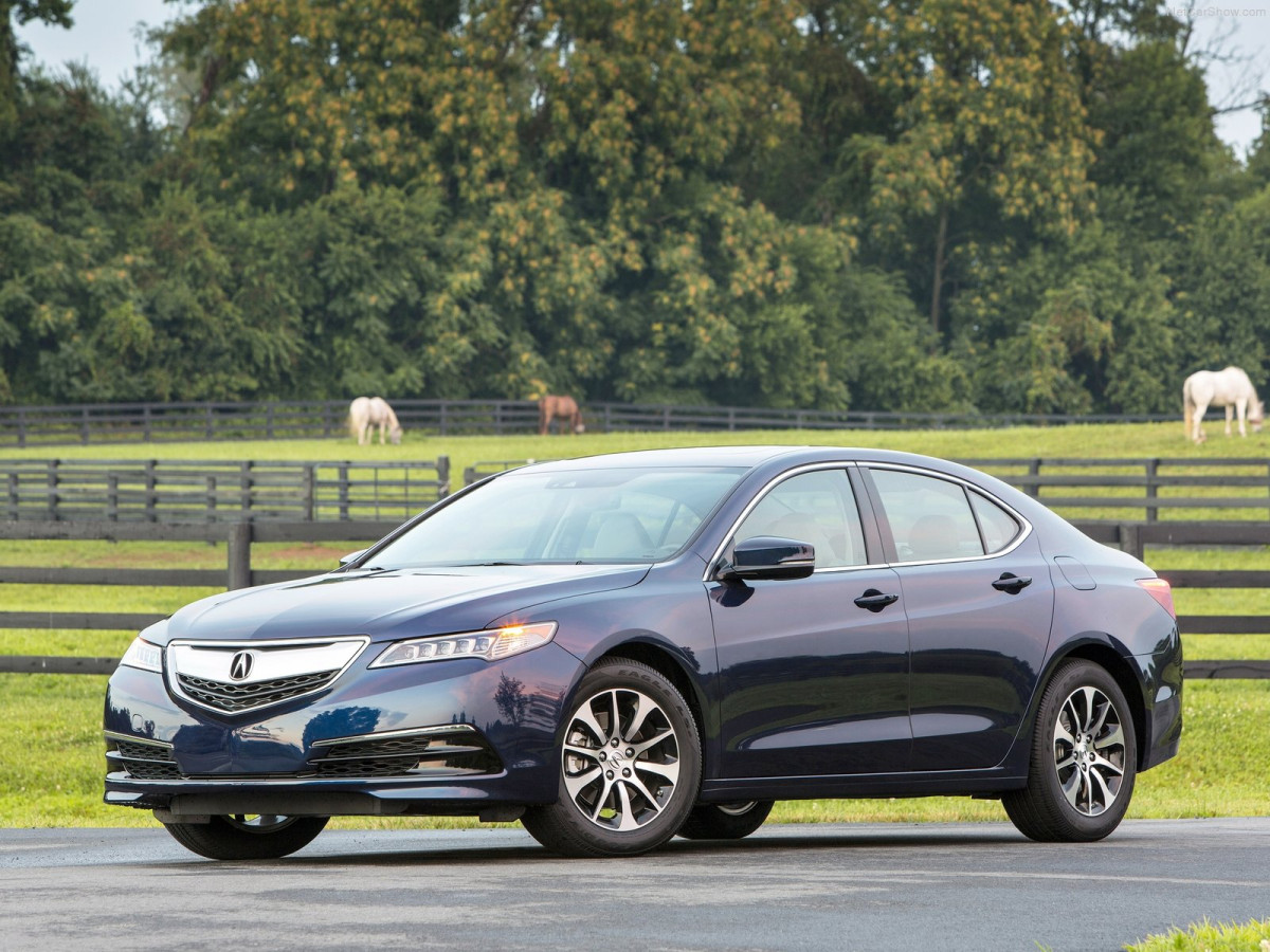 Acura TLX фото 131953