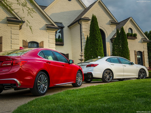 Acura TLX фото