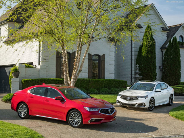 Acura TLX фото