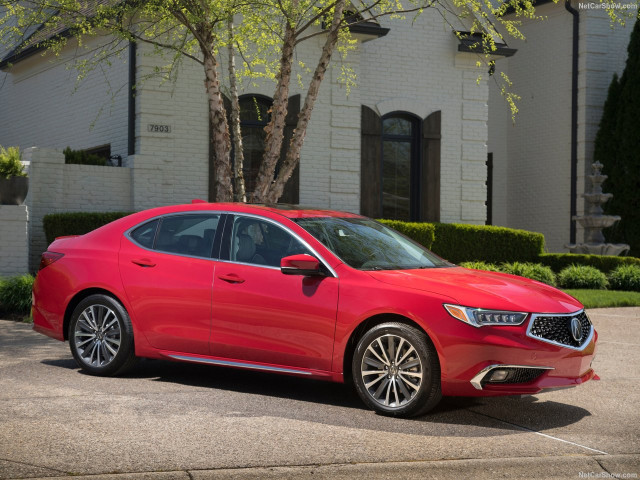 Acura TLX фото