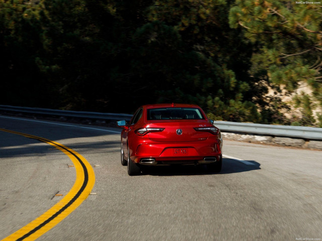 Acura TLX фото