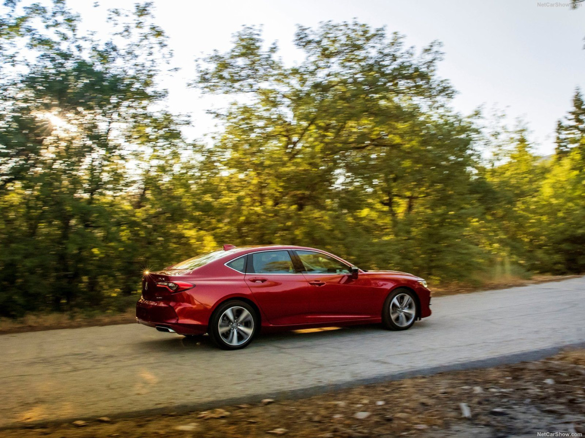 Acura TLX фото 205139