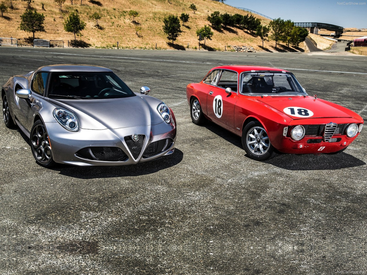 Alfa Romeo 4C Coupe US-Version фото 126740