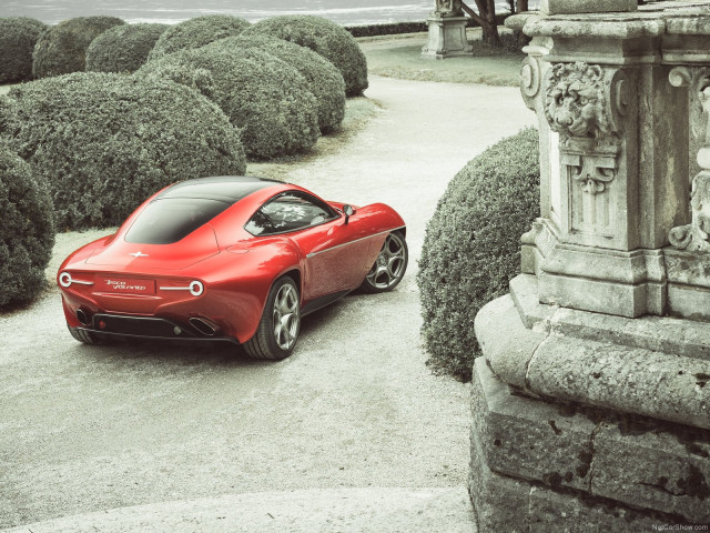 Alfa Romeo Disco Volante Touring фото