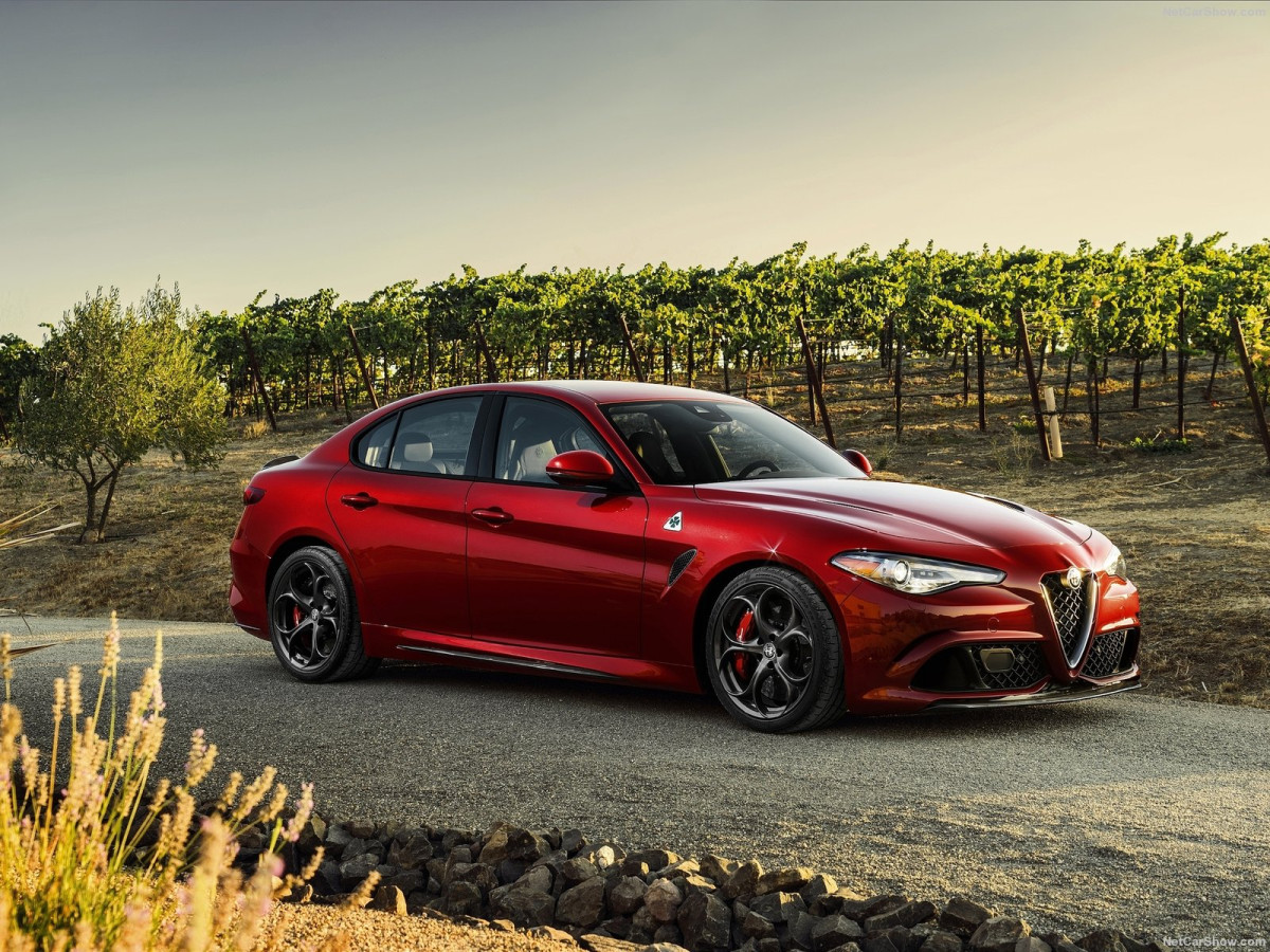 Alfa Romeo Giulia фото 161722