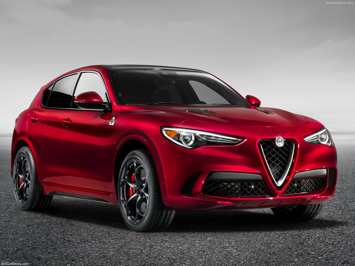 Alfa Romeo Stelvio фото 188939