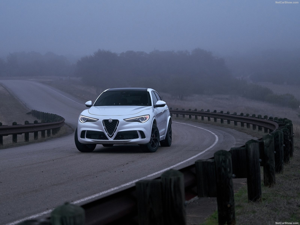 Alfa Romeo Stelvio фото 194828