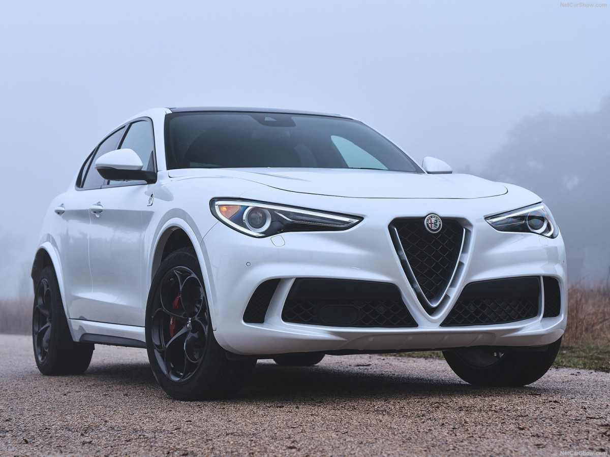 Alfa Romeo Stelvio фото 194830