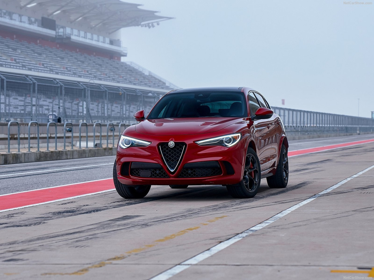 Alfa Romeo Stelvio фото 194831