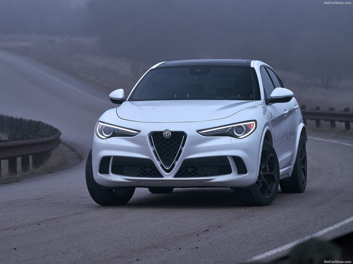 Alfa Romeo Stelvio фото 194845