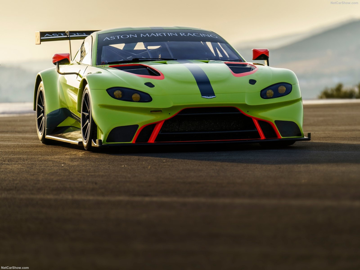 Aston Martin Vantage GTE Racecar фото 190347