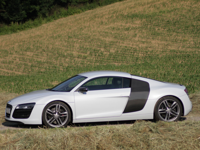 Audi R8 V8 фото