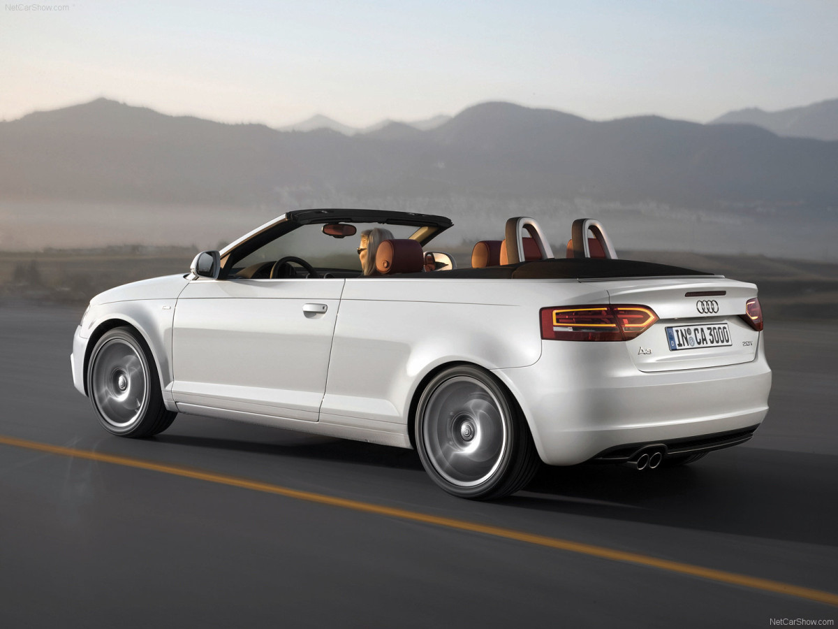 Audi A3 Cabriolet фото 49973