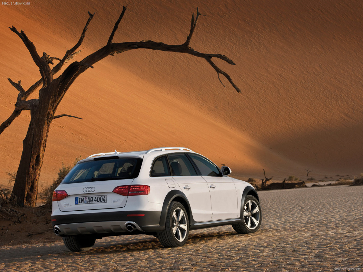 Audi A4 Allroad Quattro фото 63527