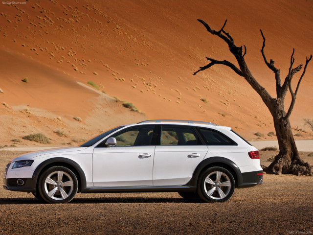 Audi A4 Allroad Quattro фото