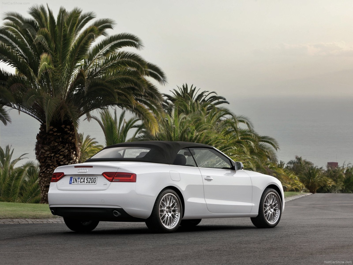 Audi A5 Cabriolet фото 85440