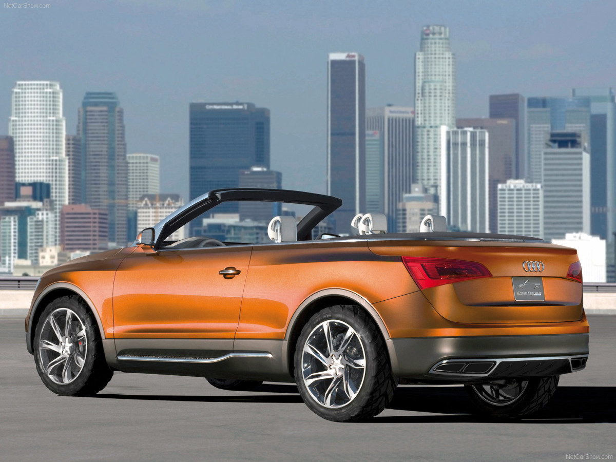 Audi Cross Cabriolet quattro фото 49273