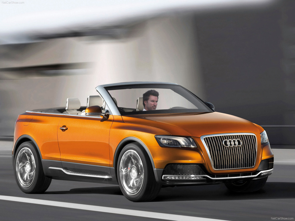 Audi Cross Cabriolet quattro фото 49277