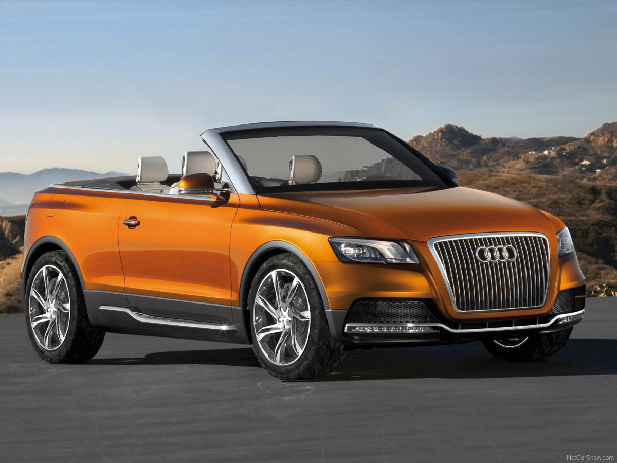 Audi Cross Cabriolet quattro фото 49279