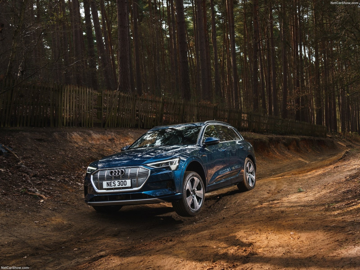 Audi e-tron фото 201900