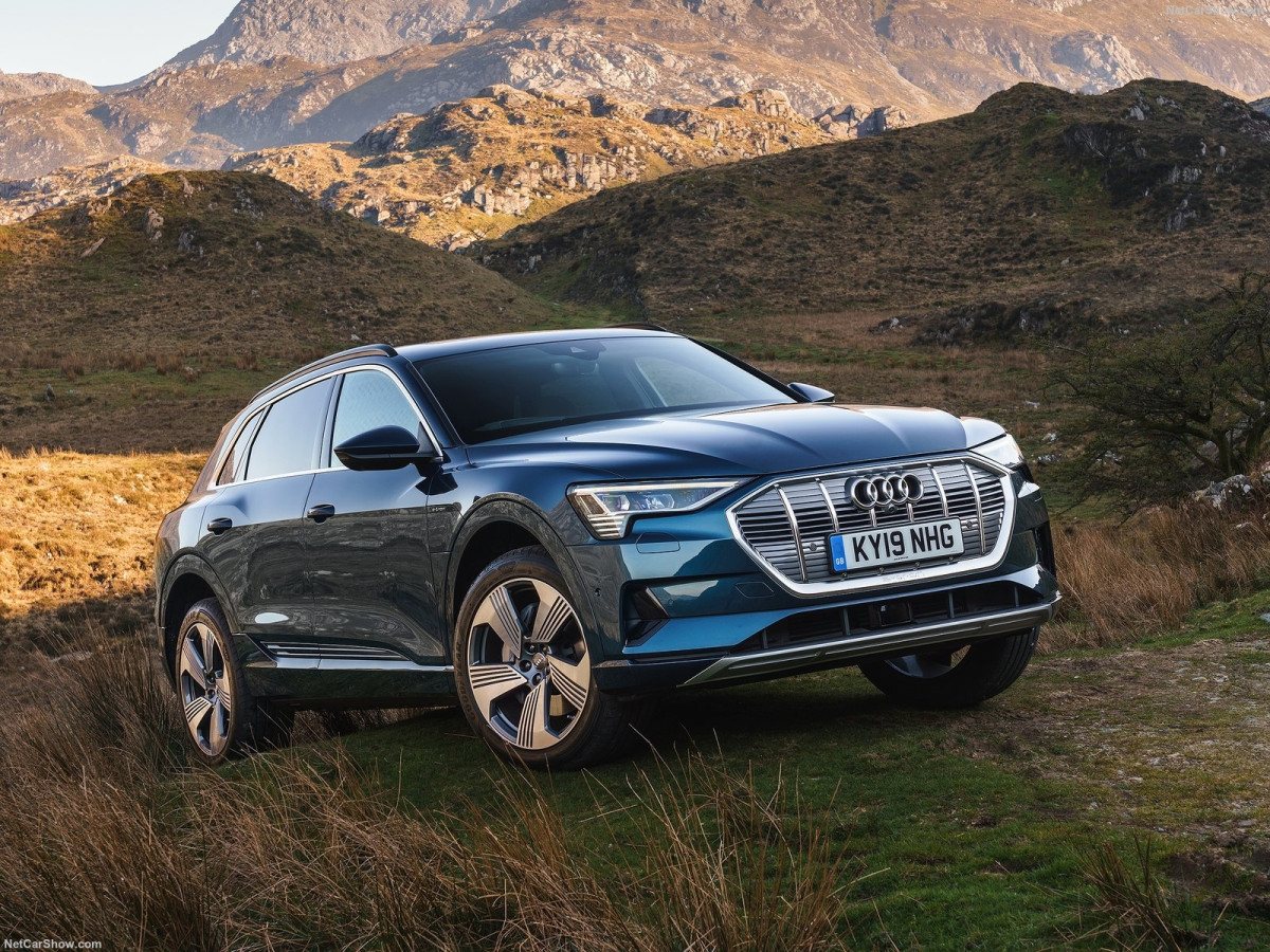 Audi e-tron фото 201902