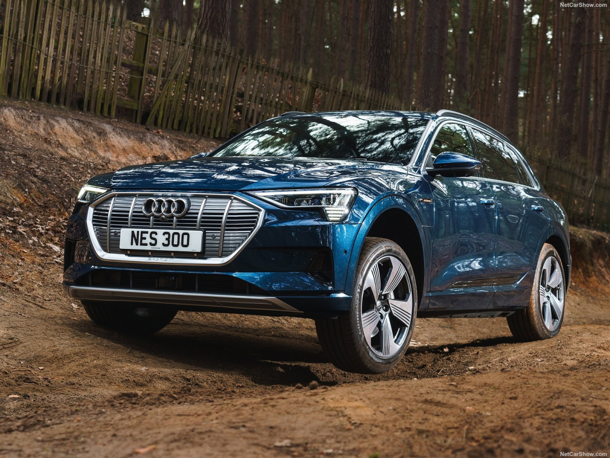 Audi e-tron фото 201910