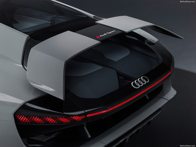 Audi PB18 e-tron фото