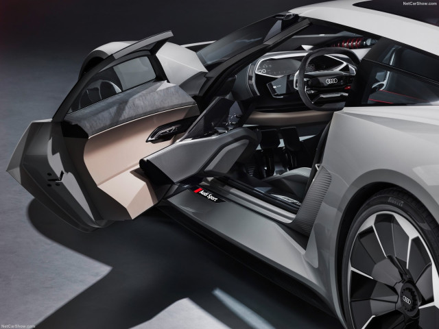 Audi PB18 e-tron фото