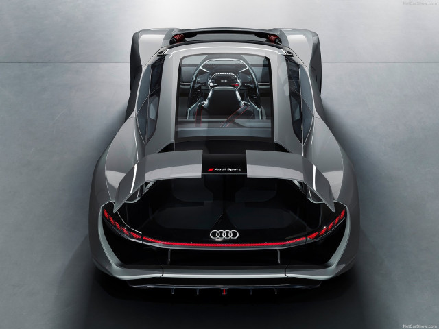 Audi PB18 e-tron фото