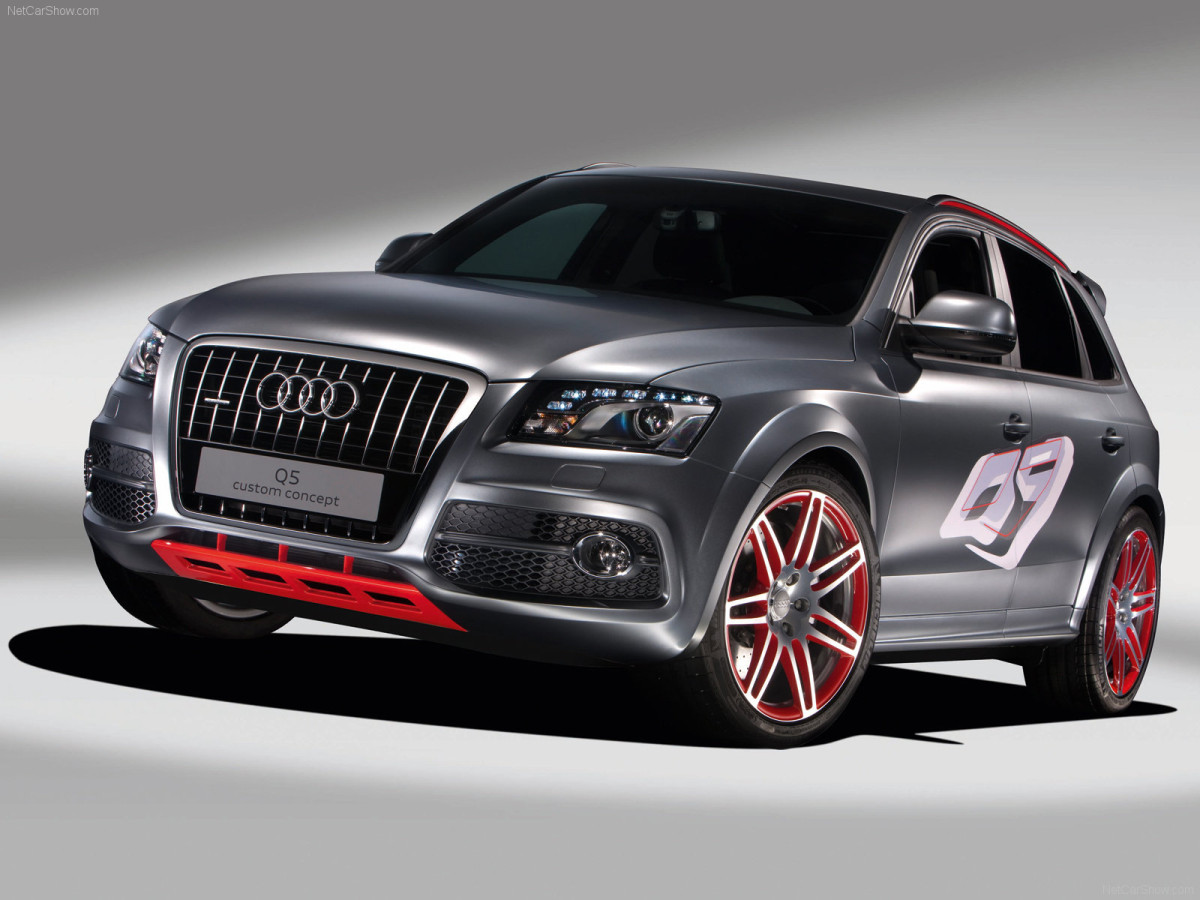 Audi Q5 Custom Concept фото 66172