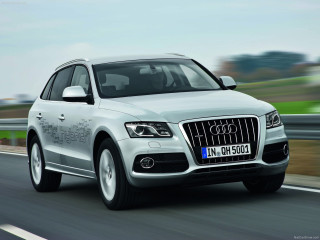 Audi Q5 Hybrid quattro фото