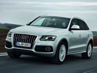 Audi Q5 Hybrid quattro фото