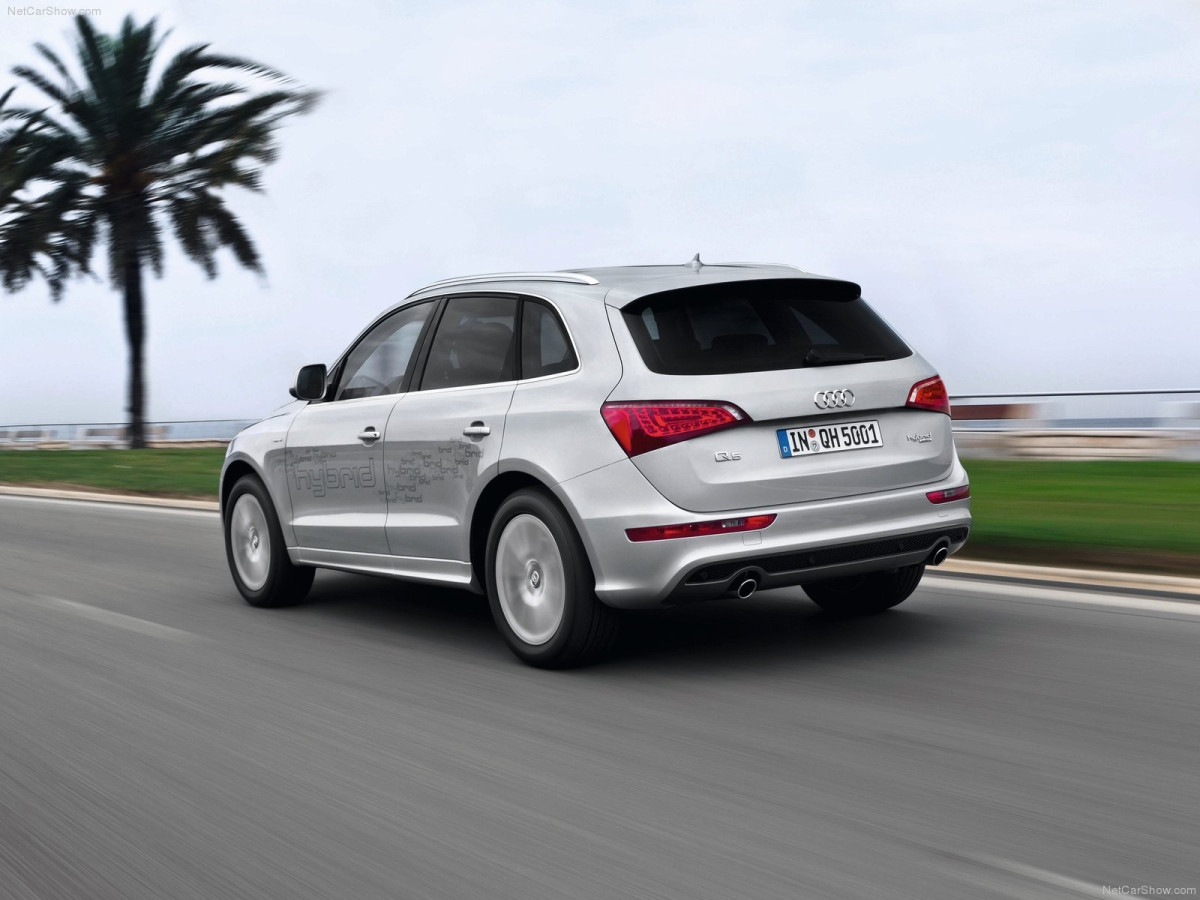 Audi Q5 Hybrid quattro фото 84529