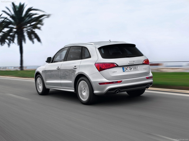 Audi Q5 Hybrid quattro фото