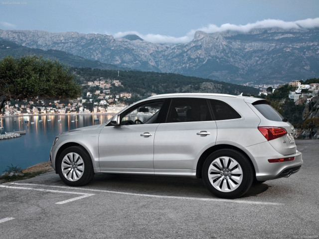 Audi Q5 Hybrid quattro фото