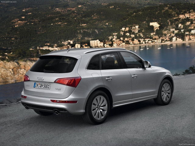 Audi Q5 Hybrid quattro фото