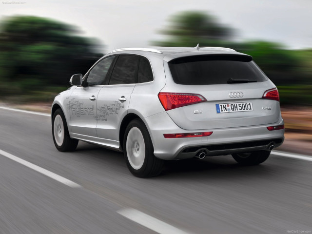 Audi Q5 Hybrid quattro фото