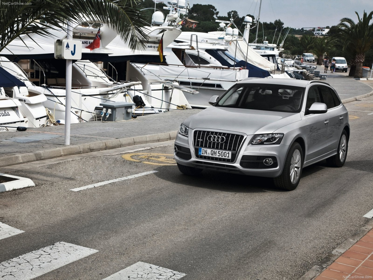 Audi Q5 Hybrid quattro фото 84534