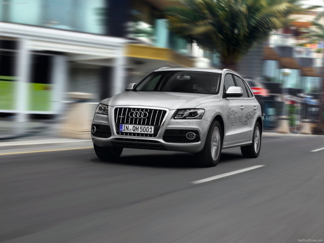 Audi Q5 Hybrid quattro фото