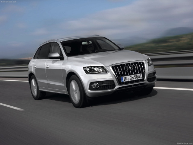 Audi Q5 Hybrid quattro фото